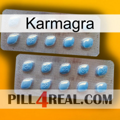 Karmagra viagra4